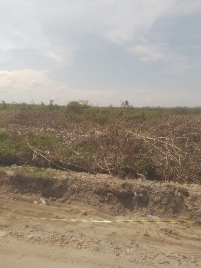 
					Dugaan Pelanggaran di PT BSP Asahan Berpotensi Rugikan Negara Hingga Rp5,45 Miliar