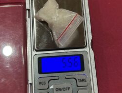 Polres Labuhanbatu Selatan kembali ungkap 5,56 Gram Narkoba di Sisumut