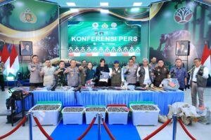 Polda Riau Bekuk 15 Tersangka Jaringan Perburuan Gajah Sumatera Lintas Provinsi