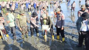 Green Policing Polda Aceh, Tanam 10 Ribu Mangrove untuk Perkuat Ketahanan Ekologi dan Ekonomi Desa Pesisir