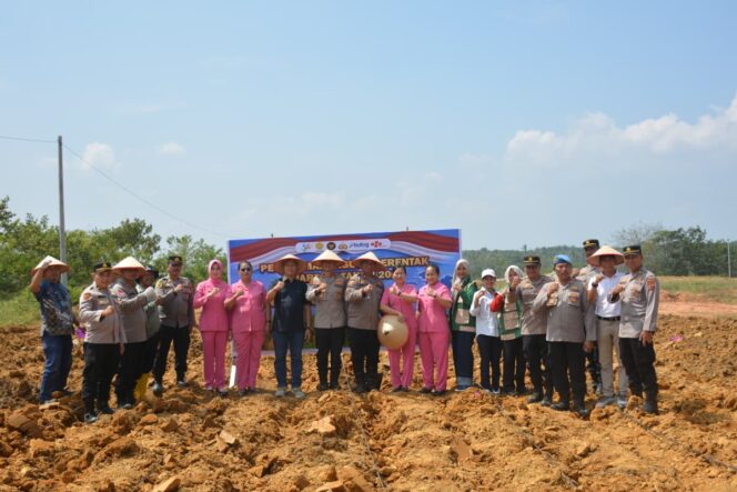 
					Dukung Ketahanan Pangan Nasional, Polres Labusel Tanam Jagung Serentak Kuartal I 2026 Di Desa Sosopan