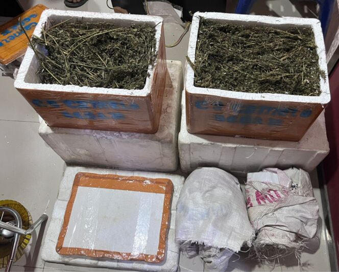 
					Luar Biasa…Satres Narkoba Polres Labusel Kembali Amankan 13,7 Kg Ganja di Kotapinang
