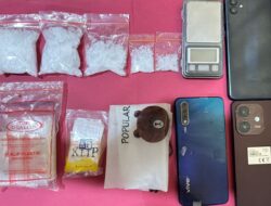 Sat ResNarkoba Polres Labuhanbatu Selatan Ungkap 132,90 gram Kasus Narkotika, Dua Pelaku Diamankan