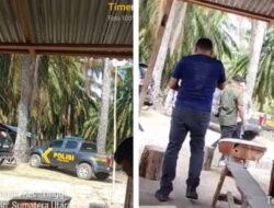 Panen Sawit di Lahan Eks HGU PT BSP Terus Berjalan, Kehadiran Polisi di Lokasi Picu Persepsi Pengawalan