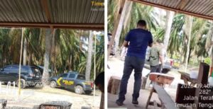 Panen Sawit di Lahan Eks HGU PT BSP Terus Berjalan, Kehadiran Polisi di Lokasi Picu Persepsi Pengawalan