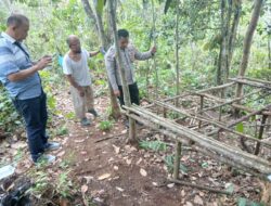 Polsek Bilah Hulu Laksanakan Grebek Sarang Narkoba di Dusun Siborangan
