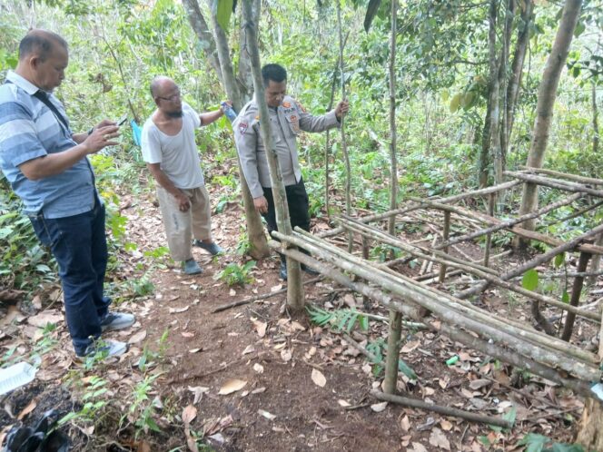 
					Polsek Bilah Hulu Laksanakan Grebek Sarang Narkoba di Dusun Siborangan