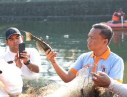 320 Kg Ikan Sapu-Sapu Ditangkap di Waduk Kaja, Operasi Masih Berlanjut
