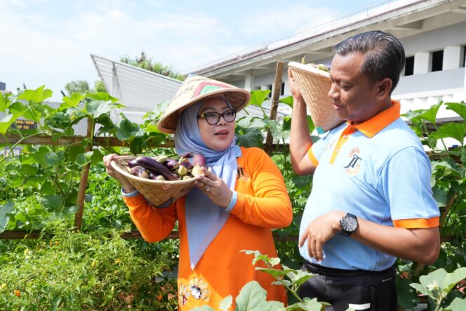 
					Urban Farming Cipinang Melayu Panen 30 Melon, Kolaborasi CSR Perkuat Pertanian Kota