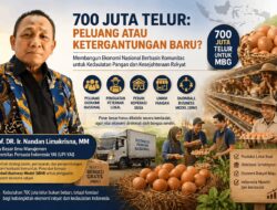 700 Juta Telur: Peluang atau Ketergantungan Baru?