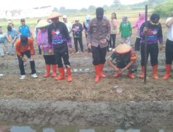 Polri Dukung Ketahanan Pangan, Penanaman Padi dan Jagung Serentak Digelar di Cakung