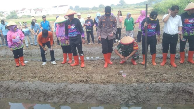 
					Polri Dukung Ketahanan Pangan, Penanaman Padi dan Jagung Serentak Digelar di Cakung