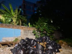Penumpukan Sampah Hampir Sebulan di Kelurahan Cengkareng Barat Dikeluhkan Warga, Koordinasi RT dan RW Jadi Sorotan