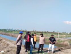 Ditpolairud Polda Metro Jaya Tebar 300 Ribu Benih Udang Windu di Muaragembong Bekasi