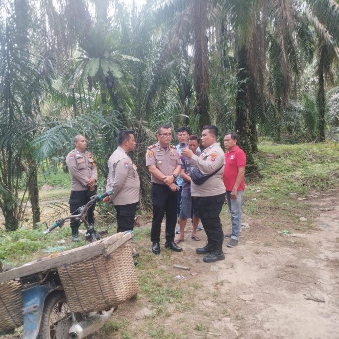 
					Kapolsek Bilah Hulu Pastikan Tidak ada Aktivitas Sabung Ayam di Lingga Tiga Sigambal