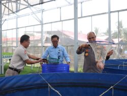 Polda Metro Jaya dan Polres Jakbar Panen 219 Kg Ikan Nila di Greenhouse Palmerah