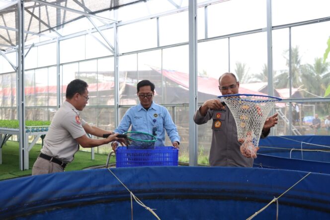 
					Polda Metro Jaya dan Polres Jakbar Panen 219 Kg Ikan Nila di Greenhouse Palmerah
