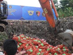 Bareskrim Polri Musnahkan Ribuan Kilogram Bawang Impor Ilegal dari Jalur Tikus Perbatasan Malaysia