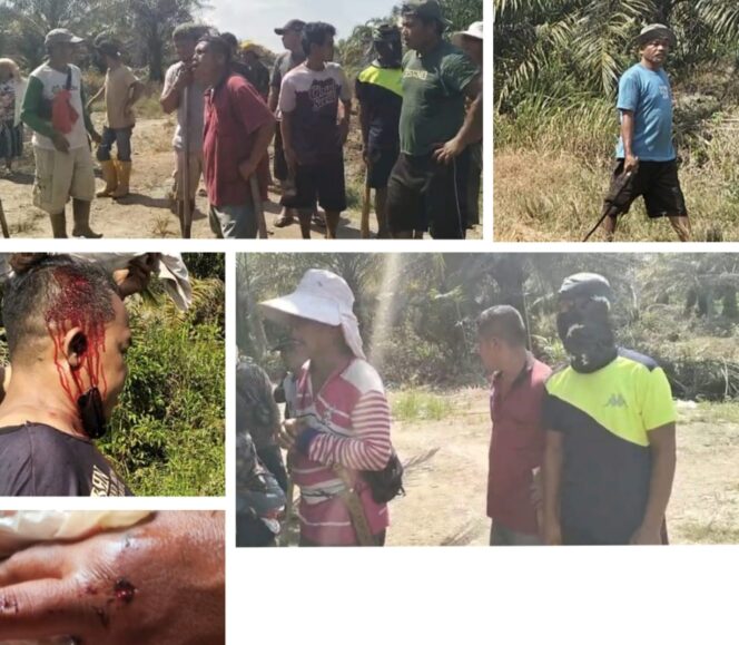 
					Dugaan Penganiayaan Terhadap Pekerja Sawit Kembali Terjadi di Desa Sungai Apung, Dipicu Pencurian TBS