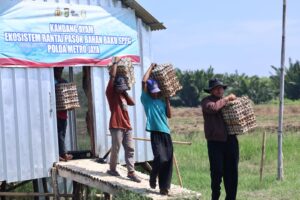Panen 3.000 Telur di Bekasi, Polda Metro Jaya Salurkan ke SPPG