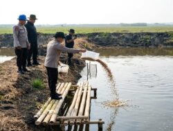 Dukung Ketahanan Pangan, Polda Metro Jaya Tebar 15 Ribu Benih Bandeng dan 150 Ribu Udang Vaname di Muaragembong, Perkuat Ketahanan Pangan