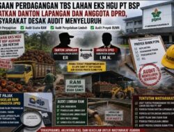 Masyarakat Desak Audit Menyeluruh Dugaan Perdagangan TBS di Lahan Eks HGU PT BSP, Soroti Penampung Buah Sawit dan Proyek BUMN