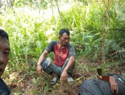 Diduga Kebal Hukum ! Residivis Penganiayaan di Labura Kembali Bacok Pekerja Sawit