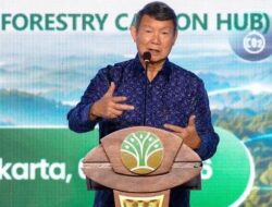 Utusan Khusus Presiden Hashim : Perdagangan Karbon Kehutanan Program Pemerintah Paling Cepat Direalisasikan