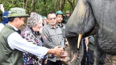 Kebijakan Menhut Dinilai Perkuat Posisi Indonesia dalam Konservasi Gajah Dunia