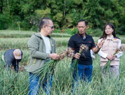 Satgas Pangan Polri Perkuat Swasembada Bawang Putih, Lahan Tanam di Sembalun Capai 534 Hektare