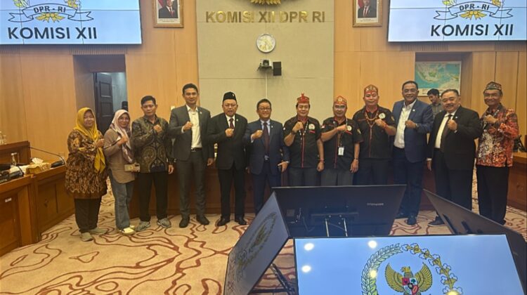 Ketua PWDPI Jakarta Mayuli: Dampingi Masyarakat Kalteng Audiensi ke Komisi XII, Hentikan Kerusakan Lingkungan dan Kriminalisasi Warga