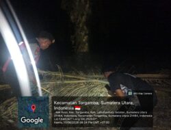 Gerebek Sarang Narkoba di Torganda, Polsek Torgamba Temukan Jejak Penggunaan Narkotika