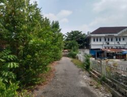 Menganggu Akses Jalan,Hutan Kecil Di Seputaran Kantor Pejabat, Hilangkan Keindahan 