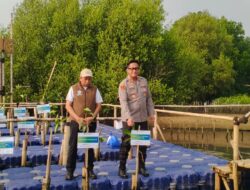 Penanaman Mangrove “The North Green Movement” di Jakarta Utara