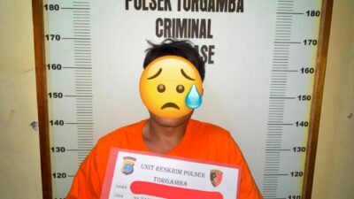 Polsek Torgamba Ungkap Pencurian Inventaris SDN 20 Aek Batu, Satu Pelaku Diamankan