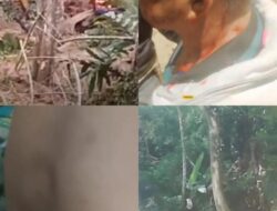 Breaking News: Anarkis Di Sumbul! Ekskavator Dibakar, 4 Orang Luka Bacok Saat Buka Jalan Tani