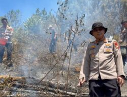 Karhutla Hanguskan 5 Hektare Lahan di Mamasa, Polisi dan Damkar Berjibaku Padamkan Api