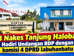 Viral Dugaan Potongan Dana JKN dan Pungli, 43 Nakes Tanjung Haloban Mengadu ke DPRD