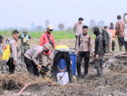 Polda Jambi Cek dan Tangani Karhutla di Sungai Aur, Luas Lahan Terbakar Capai 20 Hektare