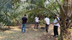 Tindaklanjuti Aduan Warga, Polsek Kampung Rakyat Grebek Lokasi Diduga Sarang Narkoba di Perlabian