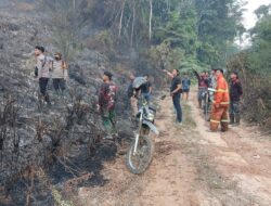 Polda Jambi Tangani Karhutla Seluas 5 Hektare di Areal PT Jebus Maju Merangin
