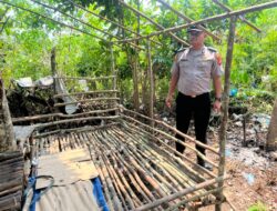 GSN Polsek Sungai Kanan Bongkar Pondok Diduga Tempat Penyalahgunaan Narkoba di Desa Sabungan