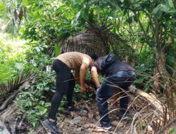 GSN di Sisumut, Polsek Kotapinang Sisir Lokasi Diduga Jadi Tempat Transaksi Narkotika