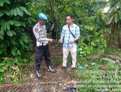 Tindak Lanjuti Aduan Warga, Polsek Torgamba Gerebek Lokasi Diduga Jadi Sarang Transaksi Narkoba di Pengarungan