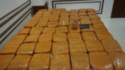 POLDA METRO JAYA BERHASIL MENGUNGKAP PEREDARAN 62,5 KILOGRAM GANJA, DI JAKARTA BARAT