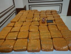 POLDA METRO JAYA BERHASIL MENGUNGKAP PEREDARAN 62,5 KILOGRAM GANJA, DI JAKARTA BARAT