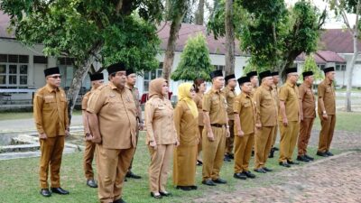 Akselerasi Penurunan Stunting, Pemkab Labuhanbatu Salurkan Bantuan Nutrisi Bagi 228 Keluarga Berisiko