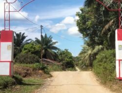 LAHAN 4xx,xx HEKTARE SUDAH DI-ENCLAVE, PTPN III KEBUN JANJI DIDUGA MASIH BERAKTIVITAS