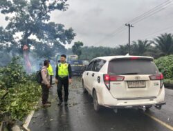 Laka Tunggal Picu Kemacetan di Jalinsum PTPN IV Sisumut, Satlantas Polres Labusel Sigap Amankan Arus