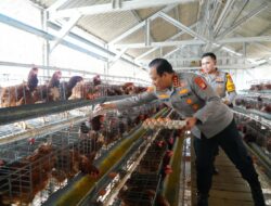 Polda Metro Jaya Jadi Contoh Penguatan Rantai Pasok MBG, Polri Dorong Jajaran Kembangkan Potensi Pangan Lokal